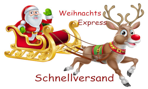 Weihnachtsexpress - Schnellversand